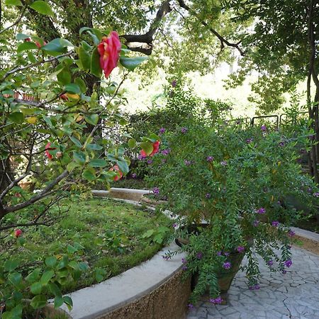 La Casa Dell'Albero Διαμέρισμα Λα Σπέτσια Εξωτερικό φωτογραφία